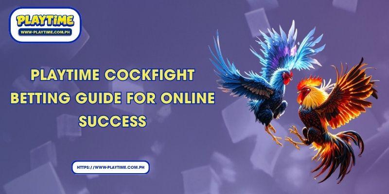 Playtime Cockfight Betting Guide For Online Success