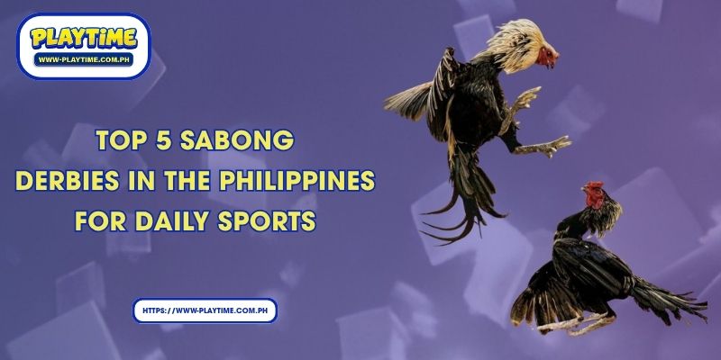 Top 5 Sabong Derbies In The Philippines For Daily Sports